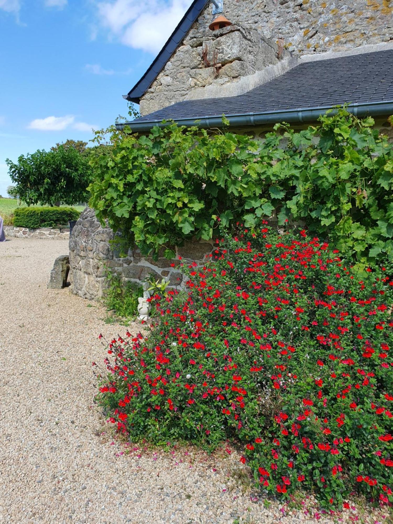 Le Domaine De La Petite Chevre Villa Ploumagoar Kültér fotó
